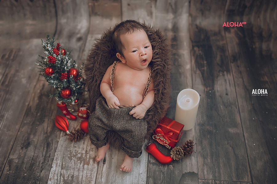 album ảnh giáng sinh newborn